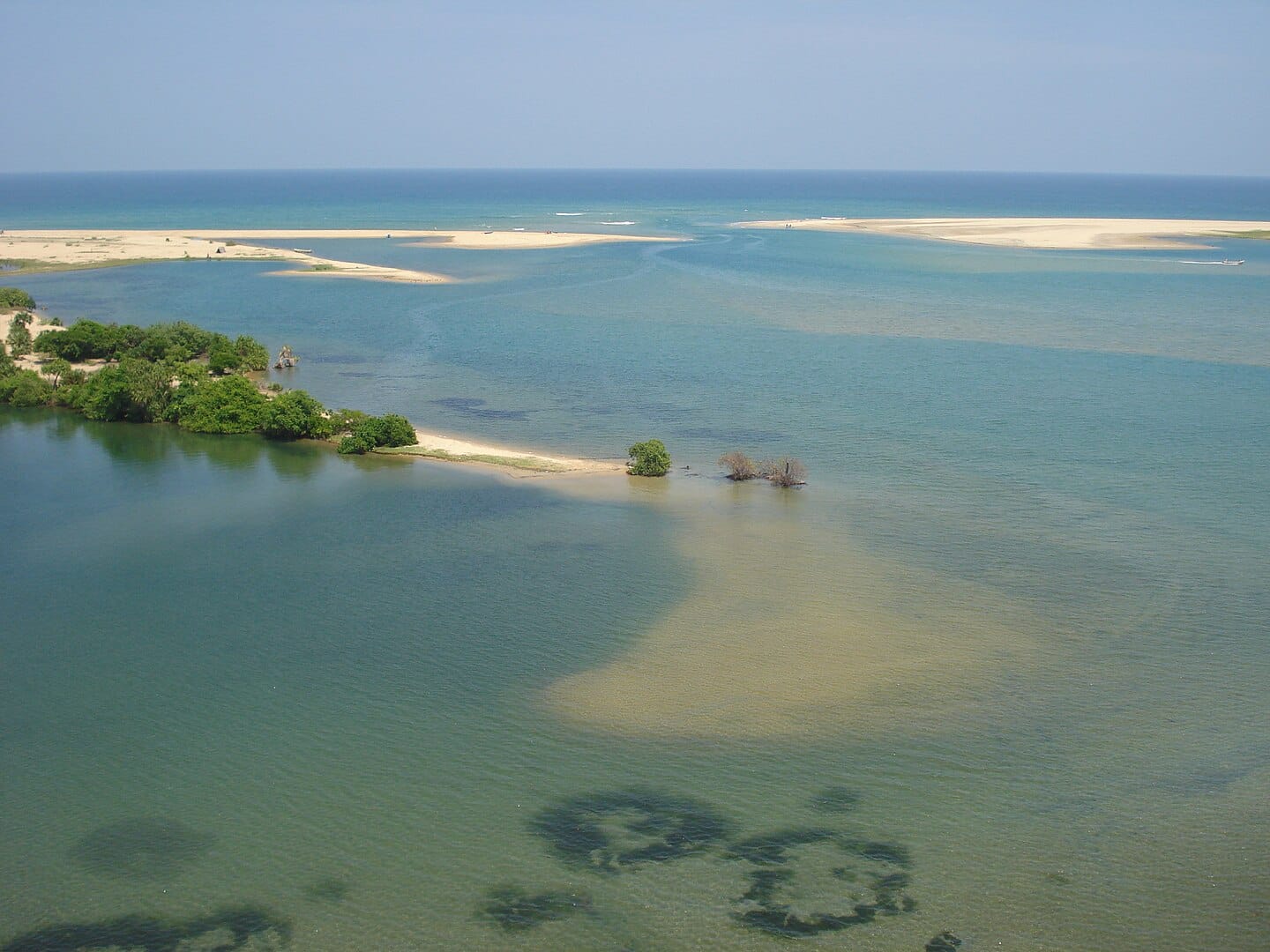 The Singing Fish of Batticaloa: Sri Lanka’s Quietest Mystery