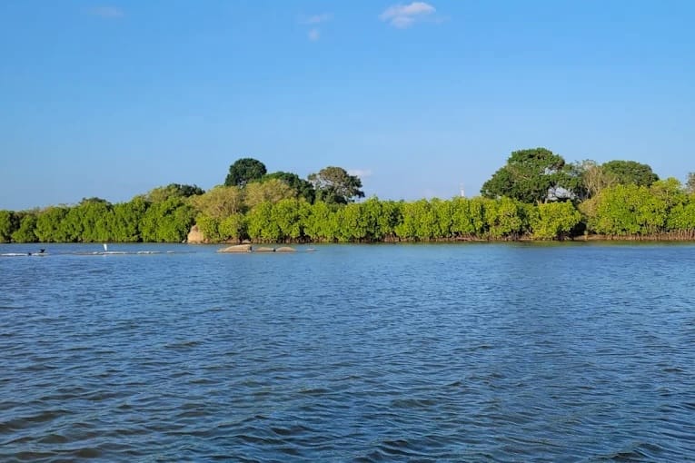 Panama Lagoon: Sri Lanka’s Wild and Peaceful Hideaway