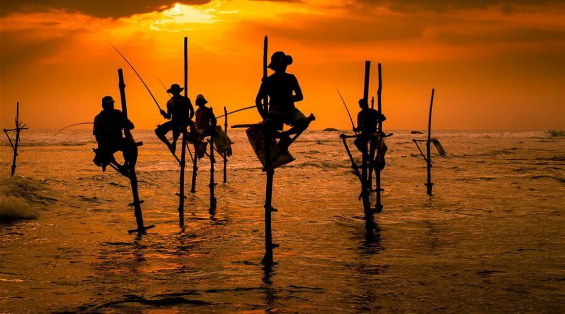 Stilt Fishing Koggala