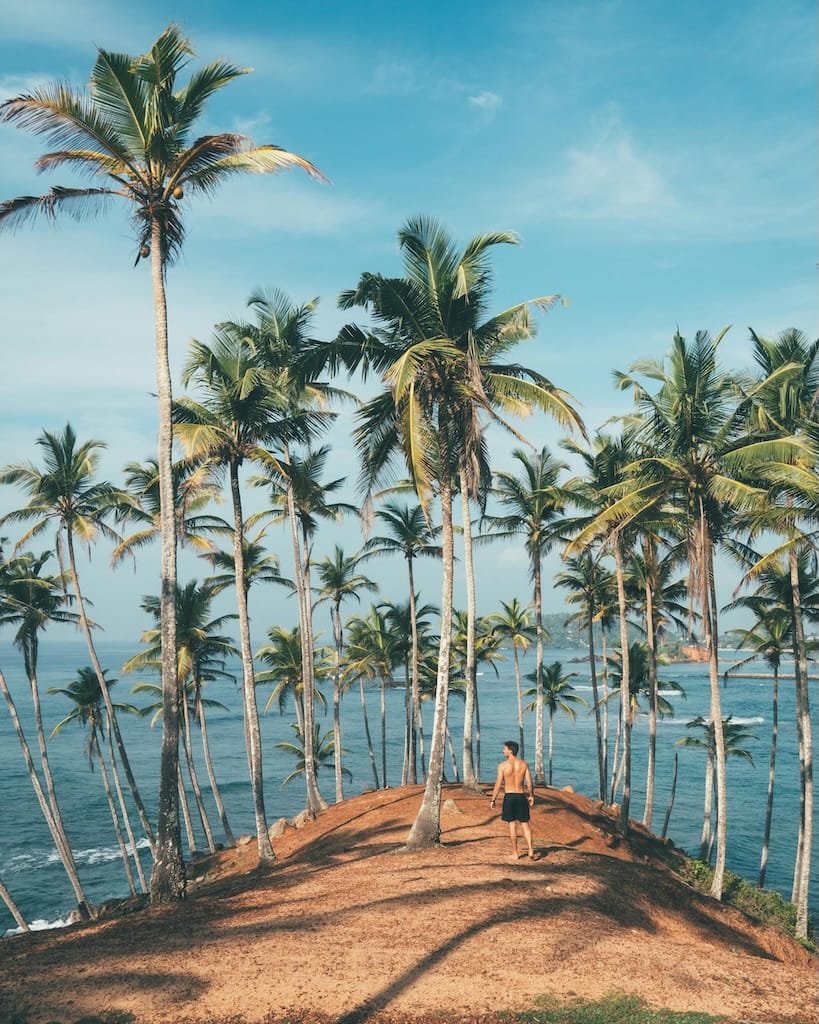 Mirissa: Where Coconut Palms Meet the Sea